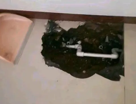 新吴卫生间测漏水多少钱